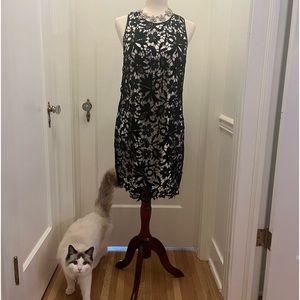 BR Cutout dress with neutral underlay.  Size 6, worn once with dry cleaning tag.